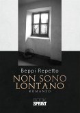 Non sono lontano (eBook, ePUB)