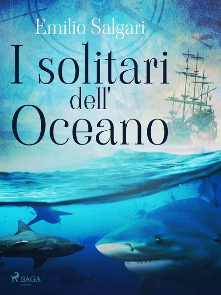 I solitari dell'Oceano (eBook, ePUB)