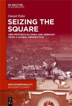 Seizing the Square (eBook, ePUB) - Palm, Daniel