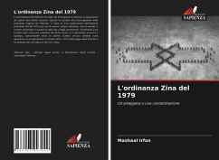 L'ordinanza Zina del 1979 - Irfan, Mashaal