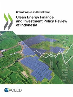 Green Finance and Investment Clean Energy Finance and Investment Policy Review of Indonesia - Oecd