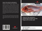 Study of the anatomo-pathological lesions of the tilapia and clarias sold
