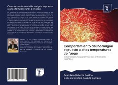 Comportamiento del hormigón expuesto a altas temperaturas de fuego - Roberto Coelho, Adenilson; Cristina Roveda Campos, Geórgia
