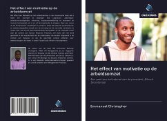 Het effect van motivatie op de arbeidsomzet - Christopher, Emmanuel