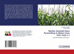 Marker Assisted Gene Pyramiding in Maize Lines (Zea mays L.)