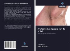 Anatomische dissectie van de enkel - Yabka, Assia; Hamzaoui, Bahia