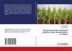 Brassinosteroids mediated salinity stress amelioration in maize