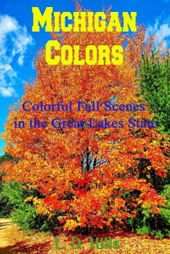Michigan Colors - Hills, Lester