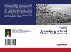 Encapsulation and Control Release in Food Engineering