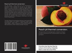 Peach pit thermal conversion: - Dos Santos Duarte, Caroline; Schmalfuss Valadão, Lidiane; Sanches Filho, Pedro José