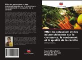 Effet du potassium et des micronutriments sur la croissance, le rendement et la qualité de la carotte