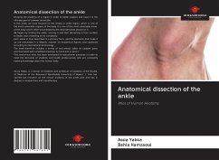 Anatomical dissection of the ankle - Yabka, Assia; Hamzaoui, Bahia