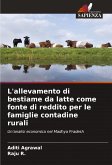 L'allevamento di bestiame da latte come fonte di reddito per le famiglie contadine rurali