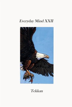 Everyday Mind XXII - Tekkan