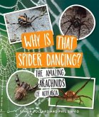 Why Is That Spider Dancing?