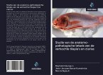 Studie van de anatomo-pathologische letsels van de verkochte tilapia's en clarias