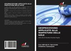 GEOPROCESSING APPLICATO ALLA MAPPATURA DELLE GOLE