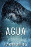 Agua (eBook, ePUB)