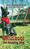 Skidboot (eBook, ePUB) Skidboot (eBook, ePUB)