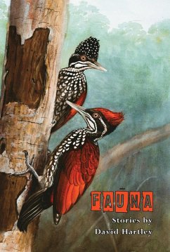 Cover Fauna (eBook, ePUB)