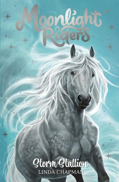 Cover Storm Stallion (eBook, ePUB)