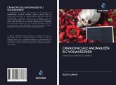 CRANIOFACIALE ANOMALIEËN BIJ VOLWASSENEN