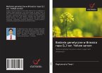 Badania genetyczne w Brassica rapa (L.) var. Yellow sarson