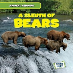 A Sleuth of Bears - Lynch, Seth