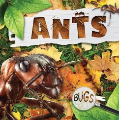 Ants - Anthony, William