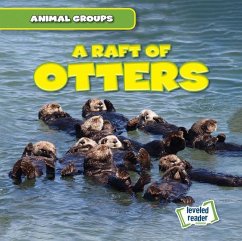 A Raft of Otters - Lynch, Seth