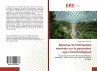 Réponse de fertilisation minérale sur... - Bild 1