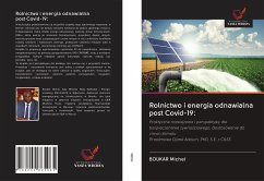Rolnictwo i energia odnawialna post Covid-19: - Michel, Boukar