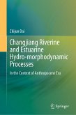 Changjiang Riverine and Estuarine Hydro-morphodynamic Processes (eBook, PDF)
