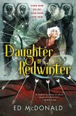Daughter of Redwinter (eBook, ePUB)