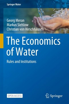 The Economics of Water - Meran, Georg;Siehlow, Markus;Hirschhausen, Christian von