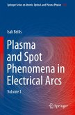 Plasma and Spot Phenomena in Electrical Arcs