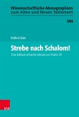 Strebe nach Schalom! (eBook, PDF)