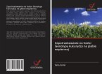 Zapotrzebowanie na fosfor Genotypy kukurydzy na glebie wapiennej