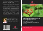 Caracterização na cultura de sementes oleaginosas Jatropha curcas