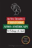 Une Brève Introduction à l'Histoire Afro-Américaine - De l'Esclavage à la Liberté: (L'Histoire Inédite du Colonialisme, des Droits de L'homme, du Raci