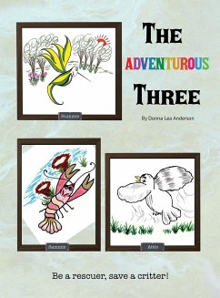 The Adventurous Three - Anderson, Donna Lea