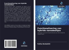 Functionalisering van hybride nanodeeltjes - Benbekhti, Fatiha
