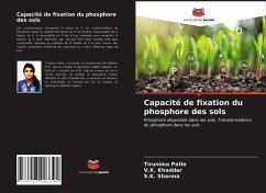 Capacité de fixation du phosphore des sols - Patle, Tirunima;Khaddar, V.K.;Sharma, S.K.