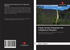Public Social Protection for Indigenous Peoples: