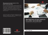 Management of work teams in the public administration