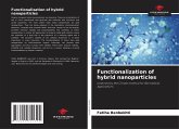 Functionalization of hybrid nanoparticles