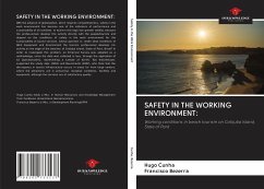 SAFETY IN THE WORKING ENVIRONMENT: - Cunha, Hugo; Bezerra, Francisco