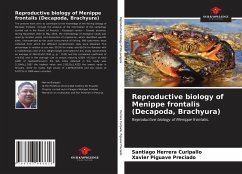 Reproductive biology of Menippe frontalis (Decapoda, Brachyura) - Herrera Curipallo, Santiago;Piguave Preciado, Xavier