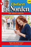 Spiel mit dem Feuer (eBook, ePUB)