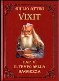 Cap. VI - Il tempo della saggezza (eBook, ePUB)
